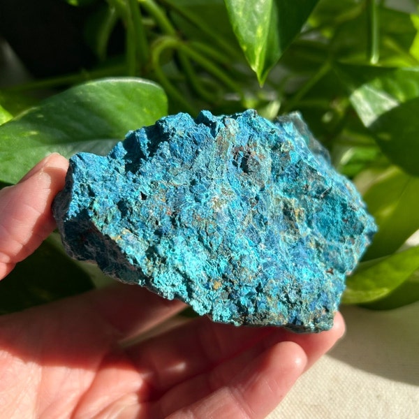 Rare Shattuckite, Chrysocolla, Plancheite, Quartz, and Mottramite. Healing Crystal from Namibia.