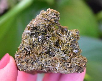 Beautiful Epidote crystal cluster from Oxford Quarry in Bridgeville, New Jersey. Olive Green Cluster. Piece from the Rutgers Geology Museum.