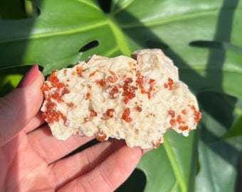 Unique Sparkly Red Vanadinite and Druzy Quartz on Barite Blades crystal cluster. Crystal Cluster from Mibladen, Morocco.
