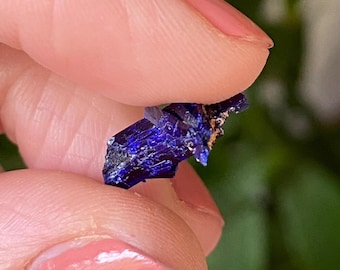 Tiny Azurite crystal from Kerrouchen, Morocco.