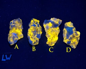 ONE (x1) Fluorescent Scapolite and Prehnite Specimen from Saint Michel de Wentworth in Quebec, Canada. LW and MW Uv