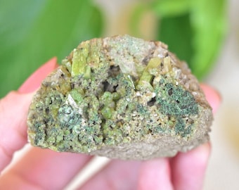 Grossular var Chromian Grossular on Diopside. Beautiful green gemmy crystal cluster. St. Denis De Brompton, Estrie, Quebec, Canada - ET125