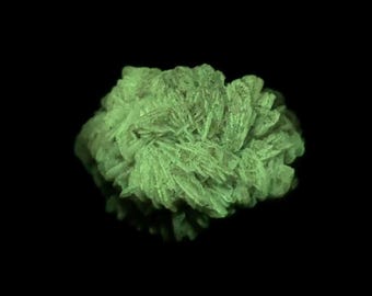Phosphorescent Desert Rose Selenite Crystal Cluster. Light Sw/Mw/Lw Fluorescence - Lw Phosphorescence - Chihuahua, Mexico - ET132