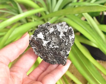 BLACK TOURMALINE on QUARTZ matrix. Raw and natural crystal cluster from Brazil - ET124