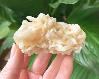Peach Stilbite on orange Heulandite crystal cluster. Beautiful crystal cluster from India. Zeolite crystal specimen - ET124