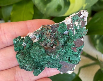 Gorgeous Malachite on Dolomite with some hematite. Beautiful specimen from Morocco.