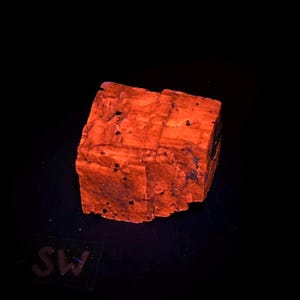 Small Fluorescent Calcite and Franklinite. Sw Uv Fluorescence. Sterling Hill Mine, Ogdensburg, New Jersey - ET130