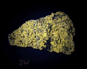 Fluorescent Wollastonite and Pyrite. Yellow shortwave SW fluorescence. Sterling Hill Mine, NJ