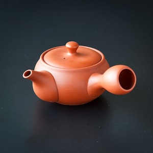 Japanese Kyusu Teapot NAKAHIRA 中平 Vermillion – Jinsui Tokoname