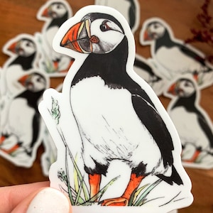 Autocolante Puffin do Atlântico