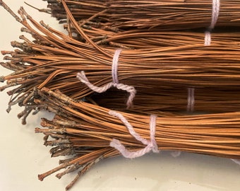 2 lb. Florida dried Long leaf Pine Needles 12" and Up For Craft and Basket Weaving Hand Picked Jan-Feb. this year