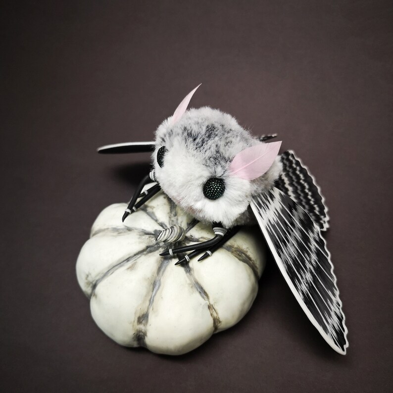 NEW IN STOCK Moth plush Collectible doll Ooak creature | Etsy