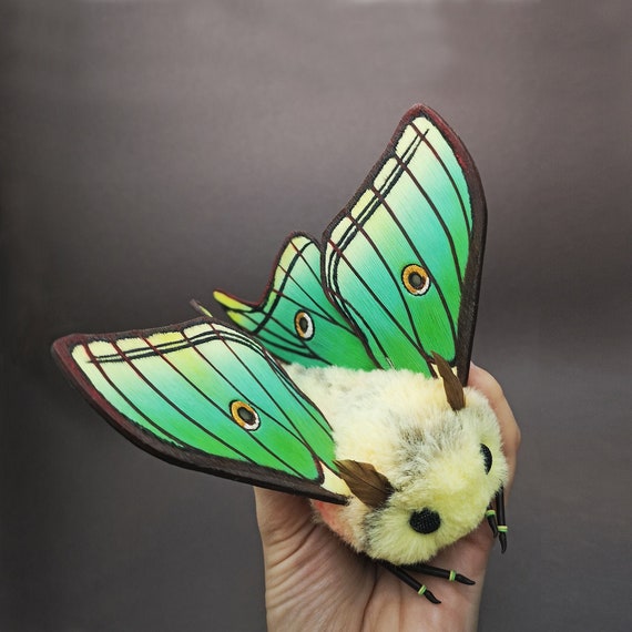 giant moth plush