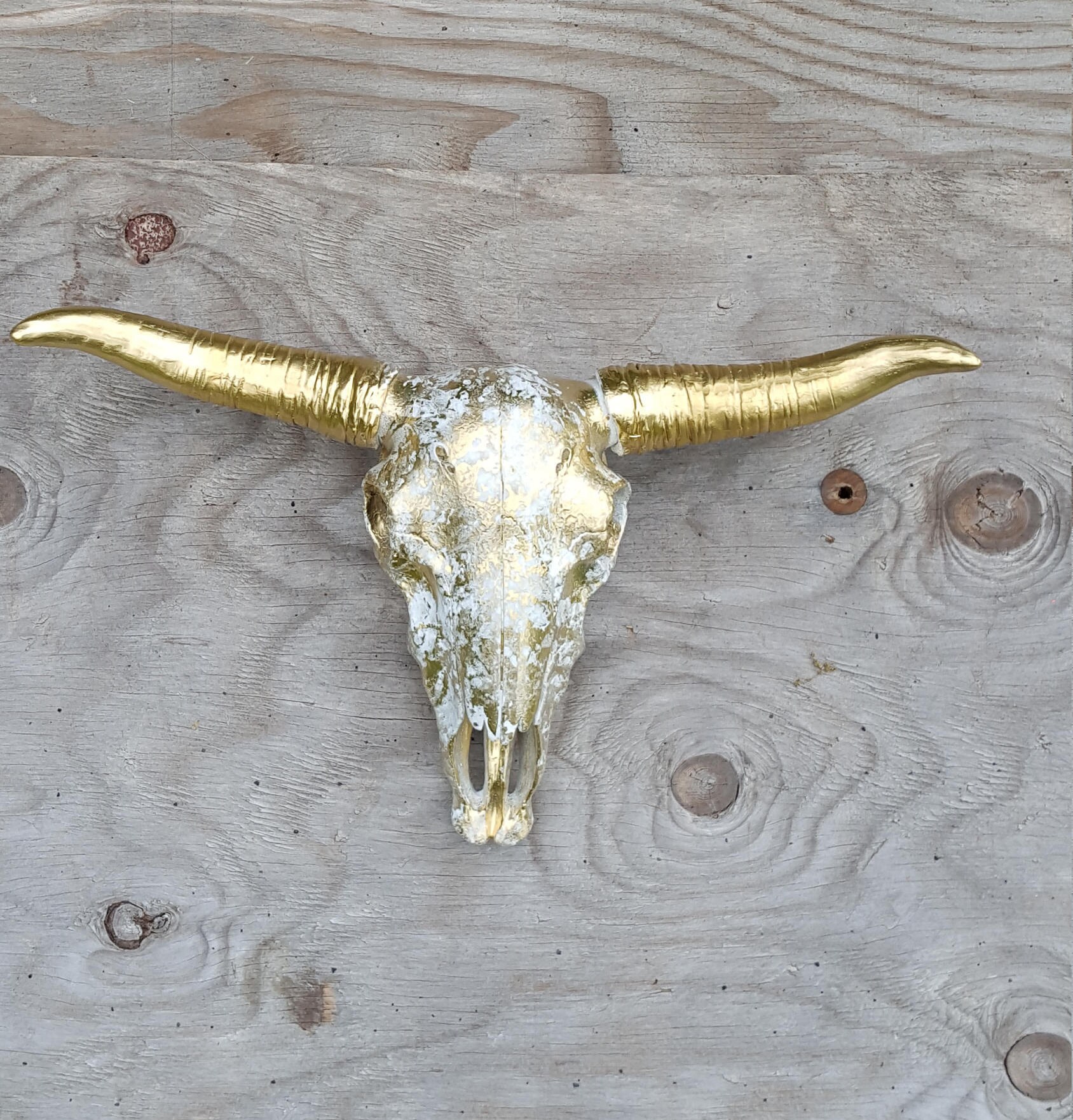Faux Taxidermy Bull Skull Wall Decor Cow Skull Wall Art Etsy