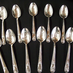 12 Franklin Mint Presidents Spoons in Silver Plate door Wm. Rogers