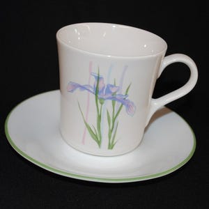 May include: White ceramic teacup and saucer set. The cup features a floral iris design in blue, pink, and green. The saucer has a green trim. A classic design for serving tea or coffee.