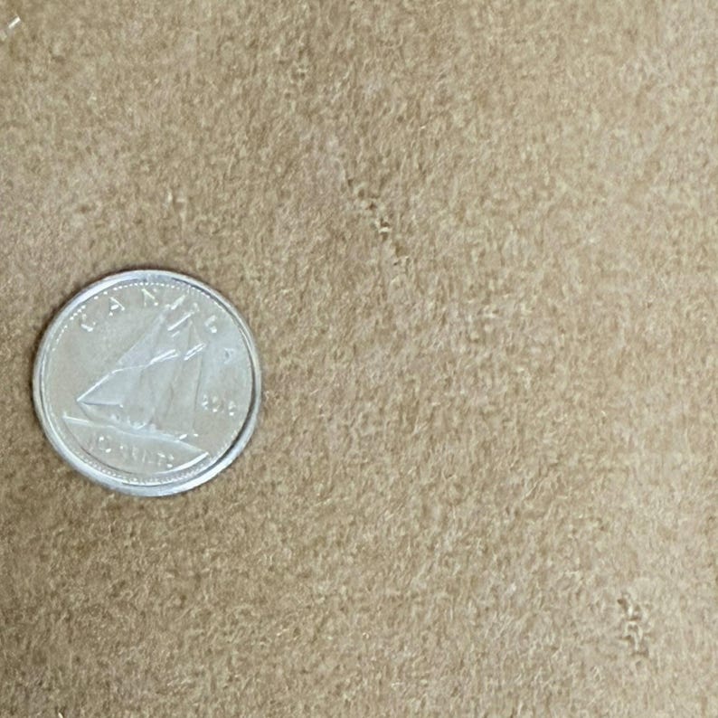 Op de afbeelding: Een beige, vervilte wollen stof met een dichte, pluizige textuur. Een zilverkleurige Canadese munt van tien cent, met een afbeelding van een zeilboot en het jaartal 2018, ligt aan de linkerkant om een schaalvergelijking te geven van de textuur.