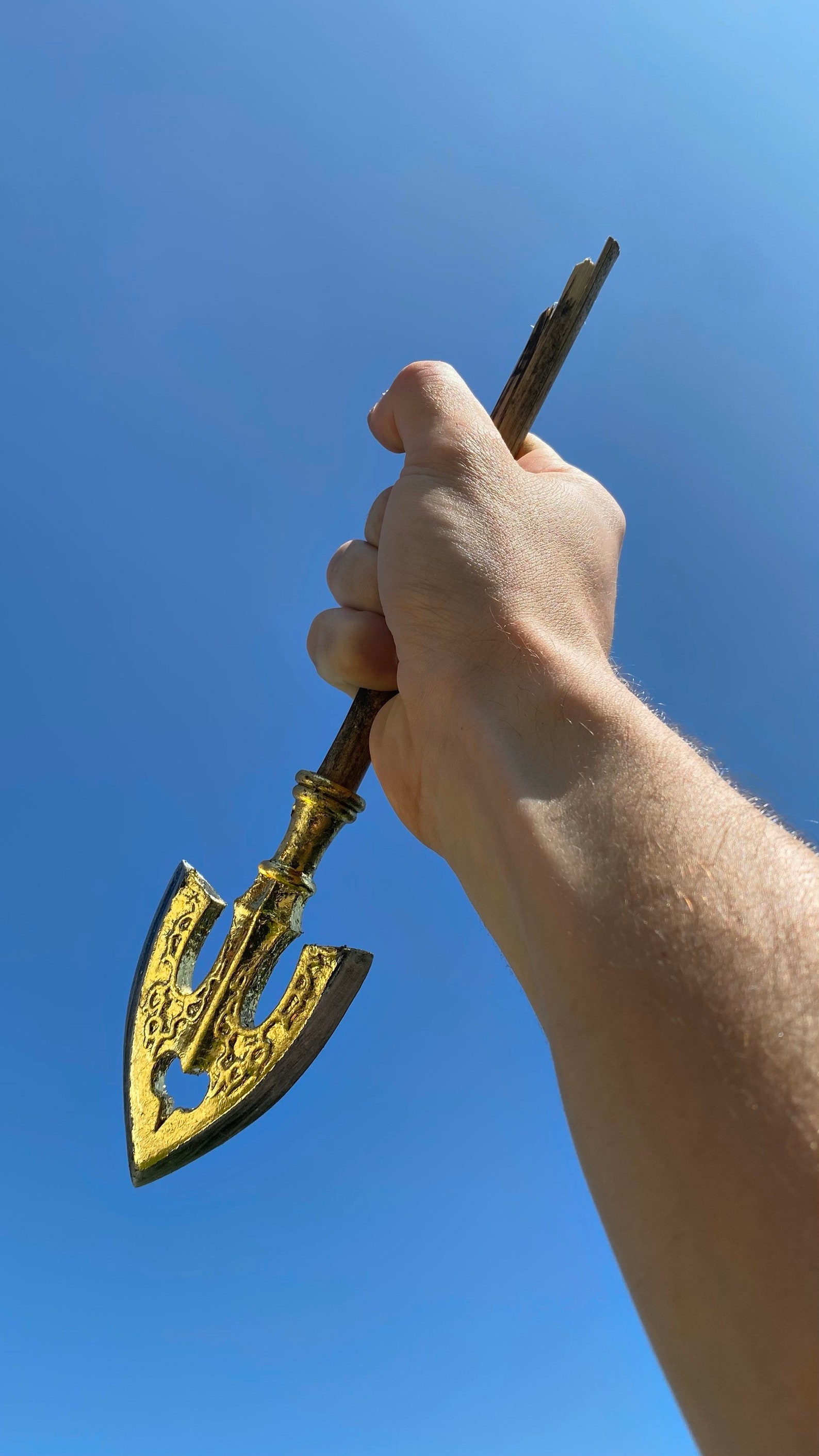 Stand Arrow Requiem Arrow / Jojo's Bizarre Adventure Etsy