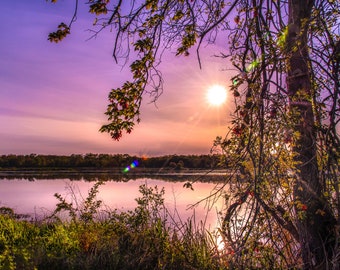 Evening Sunset Light by the Pond, Photography Print