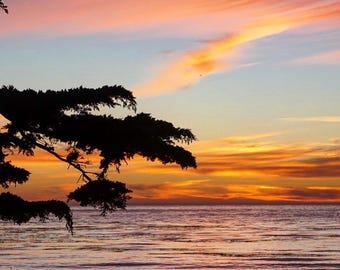 Sunset & Cypress, Carmel by the Sea