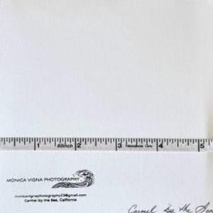 May include: A white rectangular paper with a ruler measuring up to 5 inches. The paper has text and a logo in the bottom left corner. The text reads "MONICA VIGNA PHOTOGRAPHY" and "Carmel by the Sea, California."