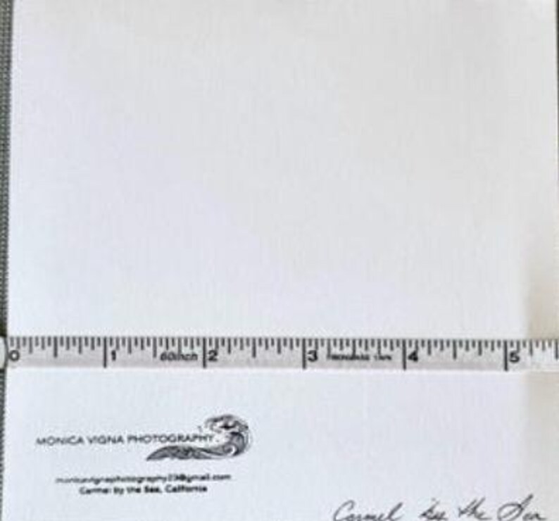 May include: A white rectangular paper with a ruler measuring up to 5 inches. The paper has text and a logo in the bottom left corner. The text reads "MONICA VIGNA PHOTOGRAPHY" and "Carmel by the Sea, California."