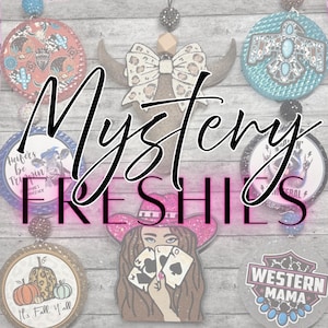 Mystery Freshie Car Freshies Great For Gift Giving