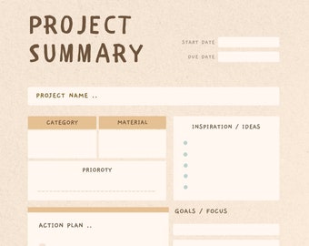 project summary template