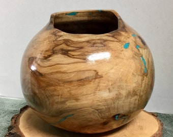 This is a beautiful Pecan Burl Bowl with Turquoise Inlay, it is 8 5/8” tall by 8 1/2” wide