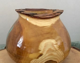 Esta es una pieza Osage Orange con incrustaciones de turquesa, mide 5" de alto por 6" de ancho