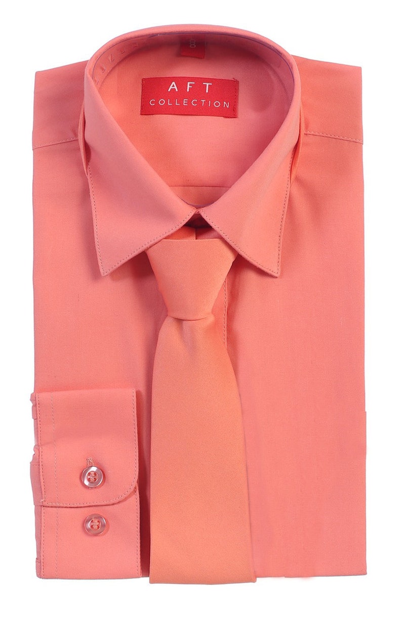 May include: A coral pink dress shirt with a matching tie. The shirt has a button-down collar and long sleeves. The label on the shirt reads "AFT Collection".