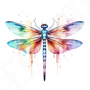 Watercolor DragonFly PNG Transparent Clipart Cartoon Design,Printable Sublimation,Digital Instant Download,Camping Summer,Mason Jar PNG Art