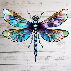 DragonFly PNG Transparent Clipart Cartoon Design,Printable Sublimation,Digital Instant Download,Camping Summer,Mason Jar PNG Art