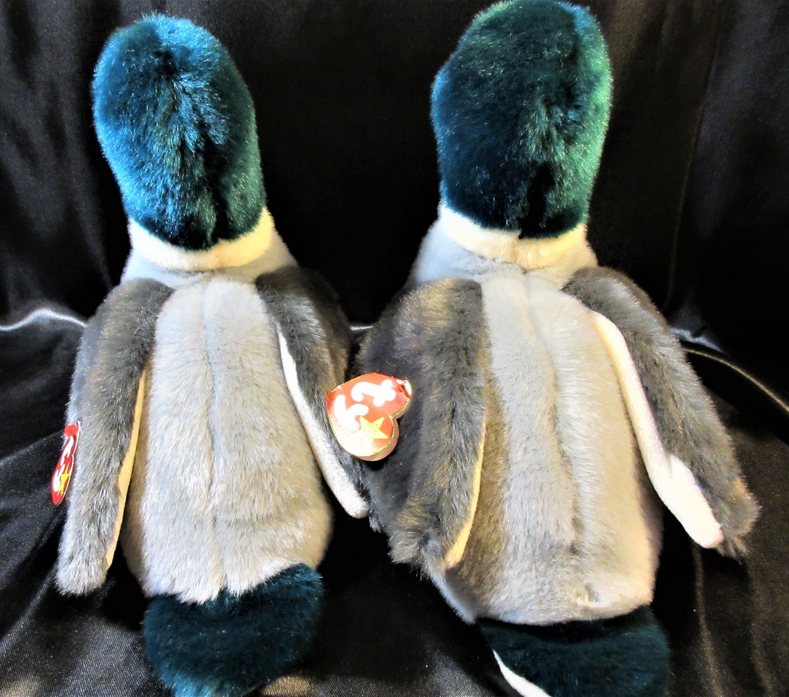 Jake Ty Beanie Buddies Collection Drake Duck Mallard Etsy