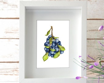 Blueberry Watercolor Print Number One - 5x7
