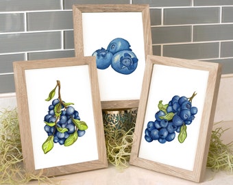 Blueberry Watercolor Prints - Set of Three - 5x7