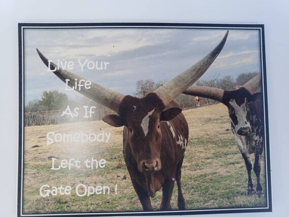 Longhorn Cow Fridge MAGNET " Live Your Life As If Somebody Left the Gate Open " - 3.25"x4.5 " Watsui Cows Quote