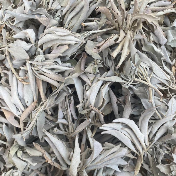 ORGANIC White Sage Smudge Leaves & Clusters Salvia Apiana Medicinal Rare, Energy Cleansing, House Blessings, Wholesale Bulk Lot