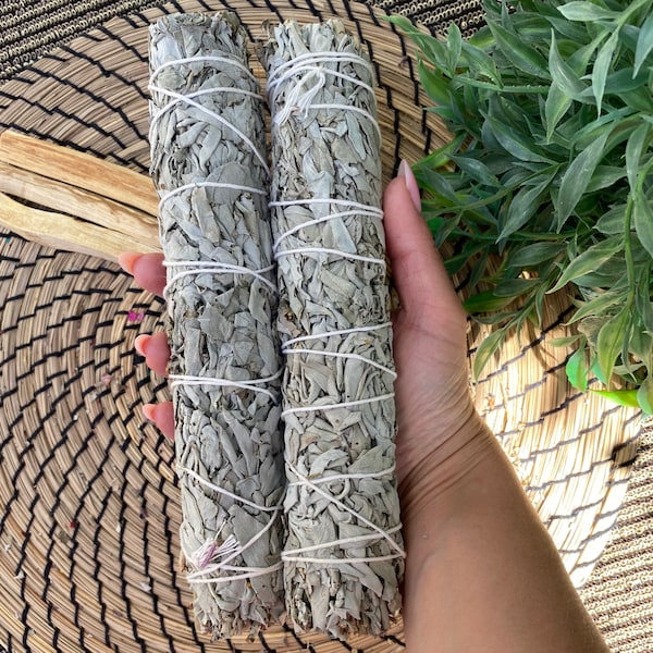 2X Large  White Sage  Smudge Sticks (9") from California Wholesale  |  ORGANIC XL   White Sage Wholesale Bulk Smudge Sticks