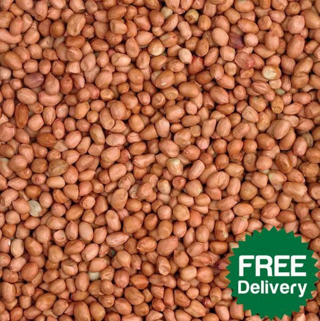 Whole Peanuts Standard Wild Bird Food High Oil Aflatoxin Safe Nuts Feed