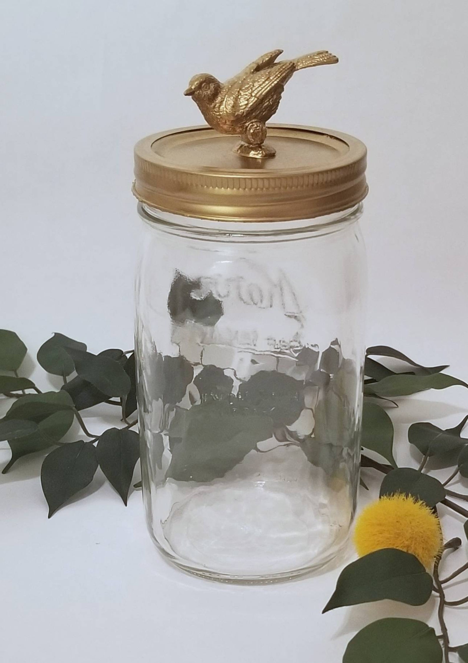 Bird Jar Etsy