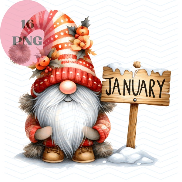 Monthly Gnomes Clipart Bundle, January PNG, January Gnome PNG, Gnomes Sublimation Designs, Transparent background, Digital Download PNG