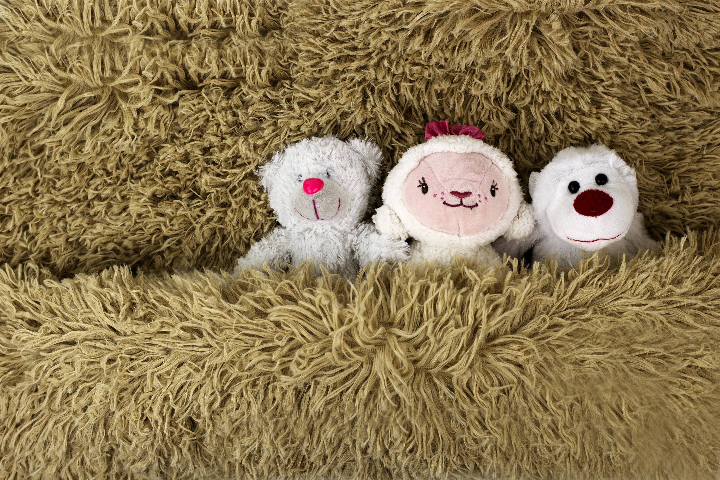 Newborn Sleeping with Dolls 2, Kid Sleeping, Plush Toys, White Blanket Toddler, Studio Portrait Photography Digital Backdrop Digital Props