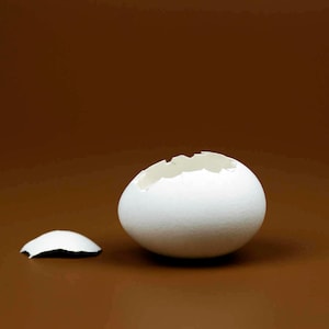 Op de afbeelding: Een witte eierschaal met een kleine scheur op een bruine achtergrond. De schaal is gebroken in twee stukken, een groter stuk en een kleiner stuk.