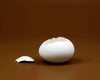 Baby in Egg 2, EASTER SALE Egg Baby,  Egg Shells, Toddler, Child, Studio Portrait Photography Digital Backdrop Digital Props