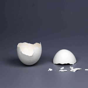 Baby in Egg, EASTER SALE Egg Baby,  Egg Shells, Toddler, Child, Studio Portrait Photography Digital Backdrop Digital Props