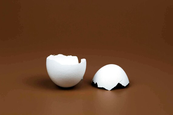 Egg Prop, EASTER SALE Egg Baby, Egg Shells, Toddler, Child, Studio Portrait  Photography Digital Backdrop Digital Props