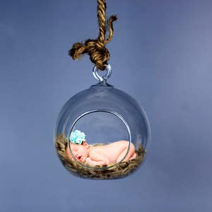 Newborn Prop Photography, Hanging Ornament, Wreath, Toddler, Basket Prop Studio Portrait Photography Digital Backdrop Digital Props Active