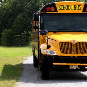 Op de afbeelding: Een gele schoolbus met zwarte accenten en de tekst "SCHOOL BUS" op de voorkant. De bus staat geparkeerd op een geasfalteerde weg met groen gras aan beide kanten.