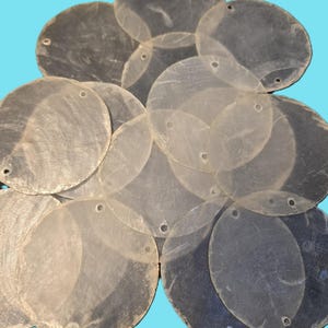 May include: A collection of translucent, round, shell-like discs with small holes near the edges. The discs vary in opacity, with some appearing more opaque and others nearly transparent. The background is a solid light blue.